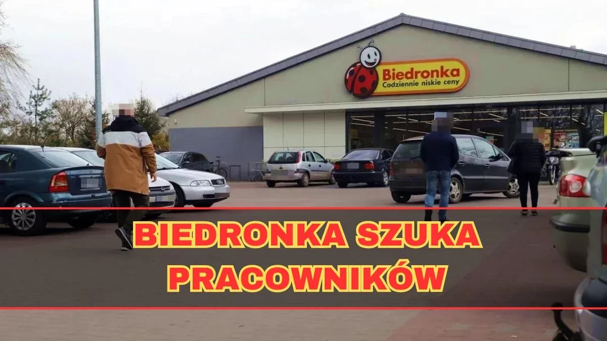 Biedronka poszukuje pracownika. Na jakie benefity można liczyć? - Zdjęcie główne