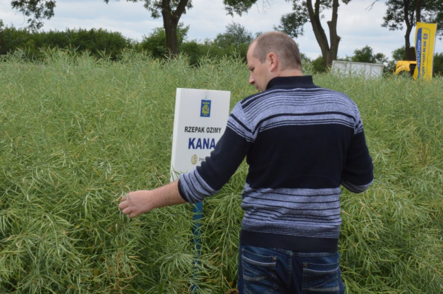 Zaprezentowali nowe odmiany roślin uprawnych - Zdjęcie główne
