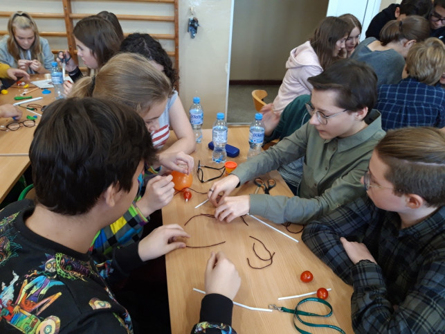 Krwiopijcze pajęczaki już nam niestraszne... - Zdjęcie główne