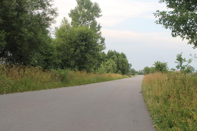 Co z wykaszaniem poboczy w powiecie? Starosta odpowiada - Zdjęcie główne