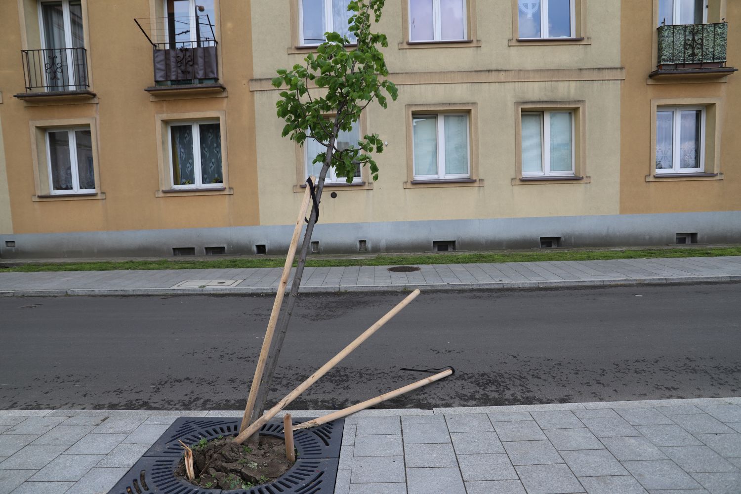 Weekend luzowania obostrzeń z wandalizmem w tle. Zniszczono zieleń w centrum Kutna