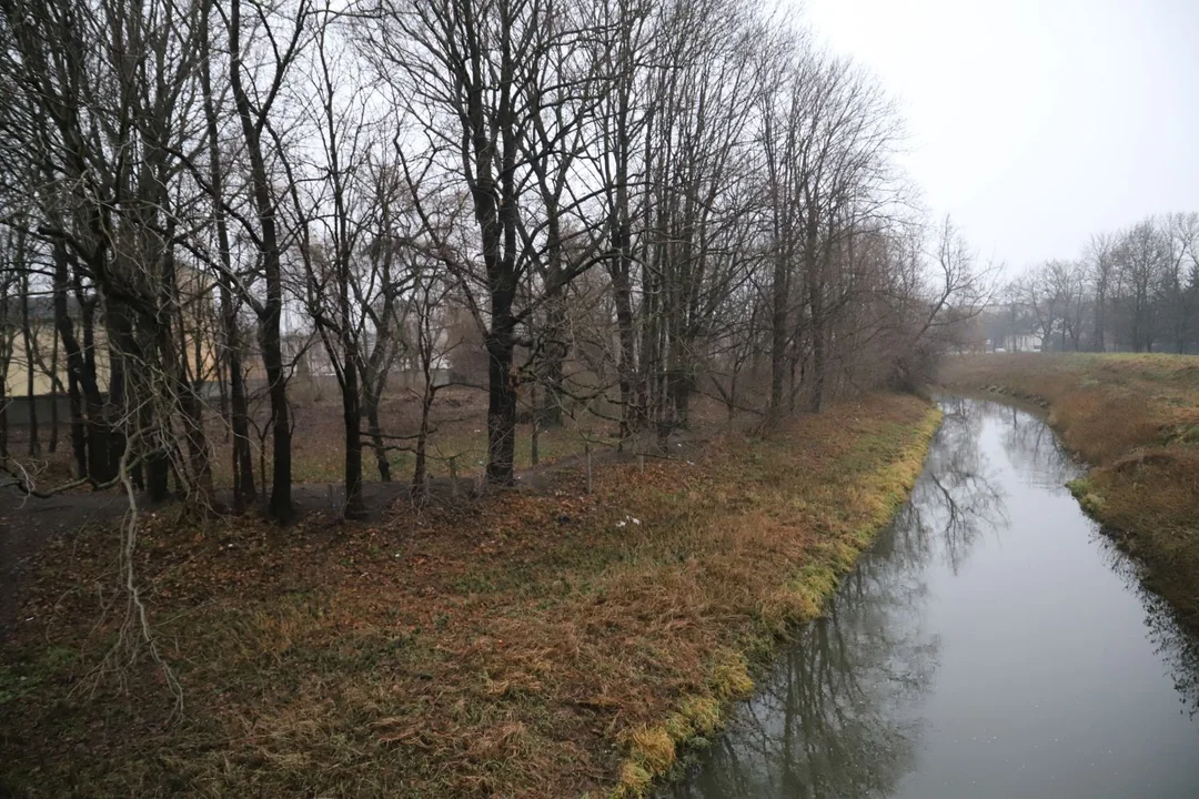 W Kutnie powstanie nowy park. Możliwe, że już w przyszłym roku [ZDJĘCIA] - Zdjęcie główne