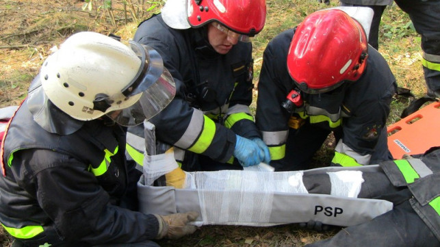 Ćwiczyli gaszenie lasu - Zdjęcie główne