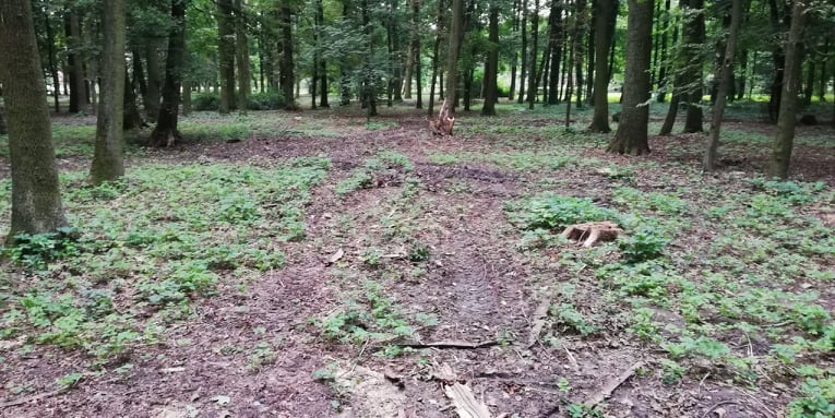 Niedokończone prace i porozjeżdżane ścieżki w Parku Wiosny Ludów. Co dalej z uszkodzoną zielenią?