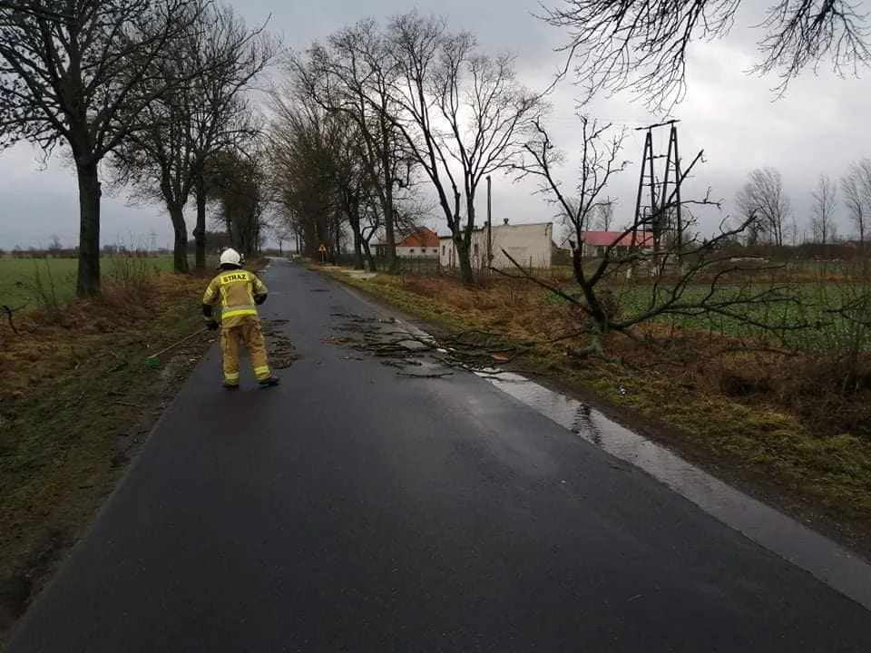 Strażacy z powiatu kutnowskiego interweniowali kilkadziesiąt razy w związku z ostatnimi wichurami, które przeszły przez region