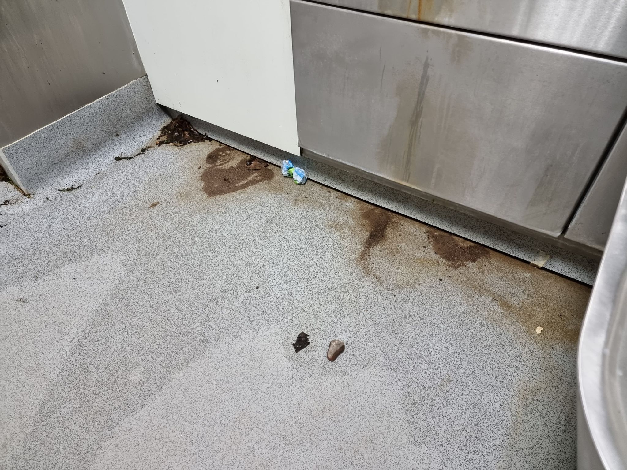 Stan toalety w Parku Wiosny Ludów daleki jest od ideału