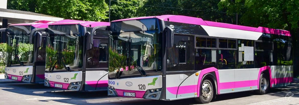 Nowe trasy autobusów MZK. Które linie zostały objęte zmianami? - Zdjęcie główne