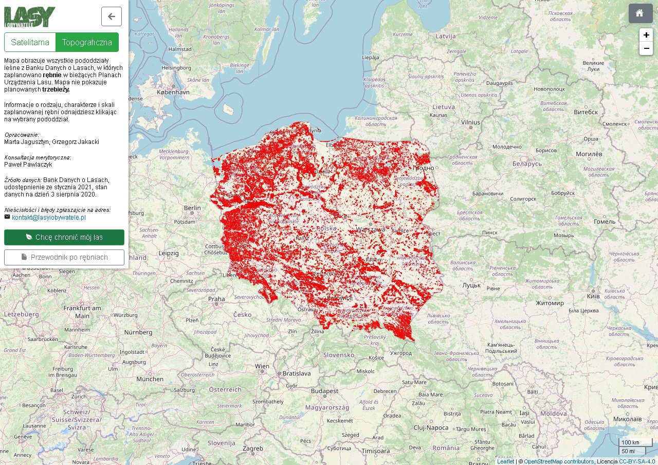 Czy w kutnowskich lasach czeka nas wielka wycinka drzew?
