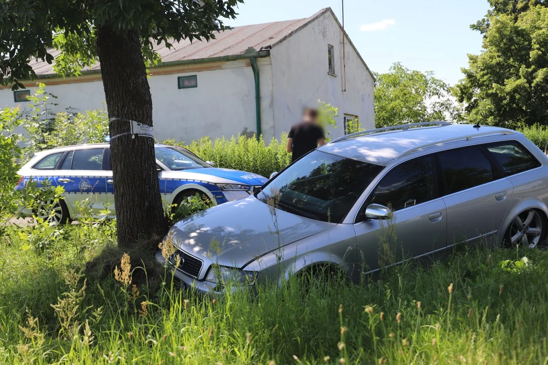 Kierowca Audi wypadł z drogi. Na miejscu kutnowska drogówka [ZDJĘCIA] - Zdjęcie główne