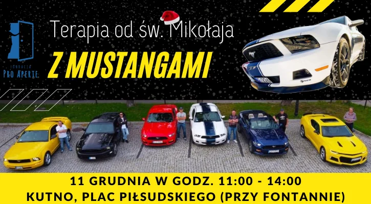 Terapia od Św. Mikołaja z Mustangami - Zdjęcie główne