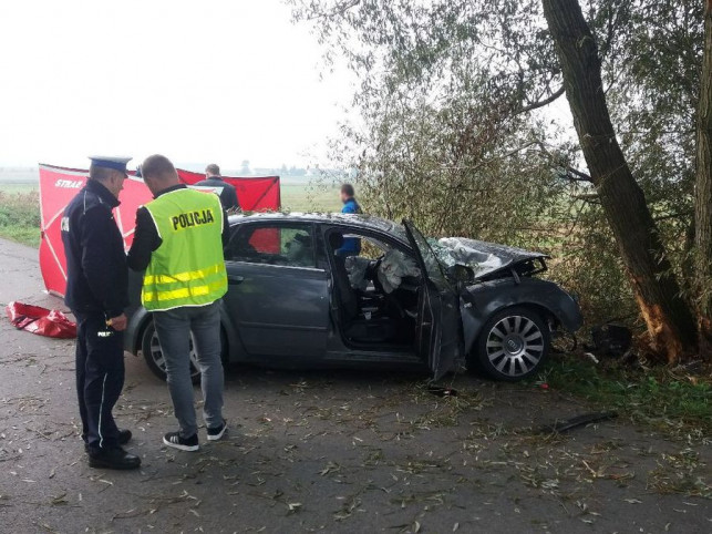 Śmiertelny wypadek! Audi rozbite na drzewie, kierowca zginął na miejscu - Zdjęcie główne