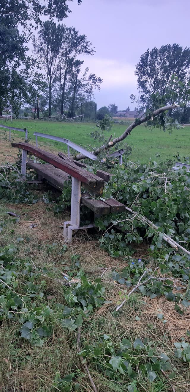 Gmina Dąbrowice zorganizuje pomoc dla mieszkańców