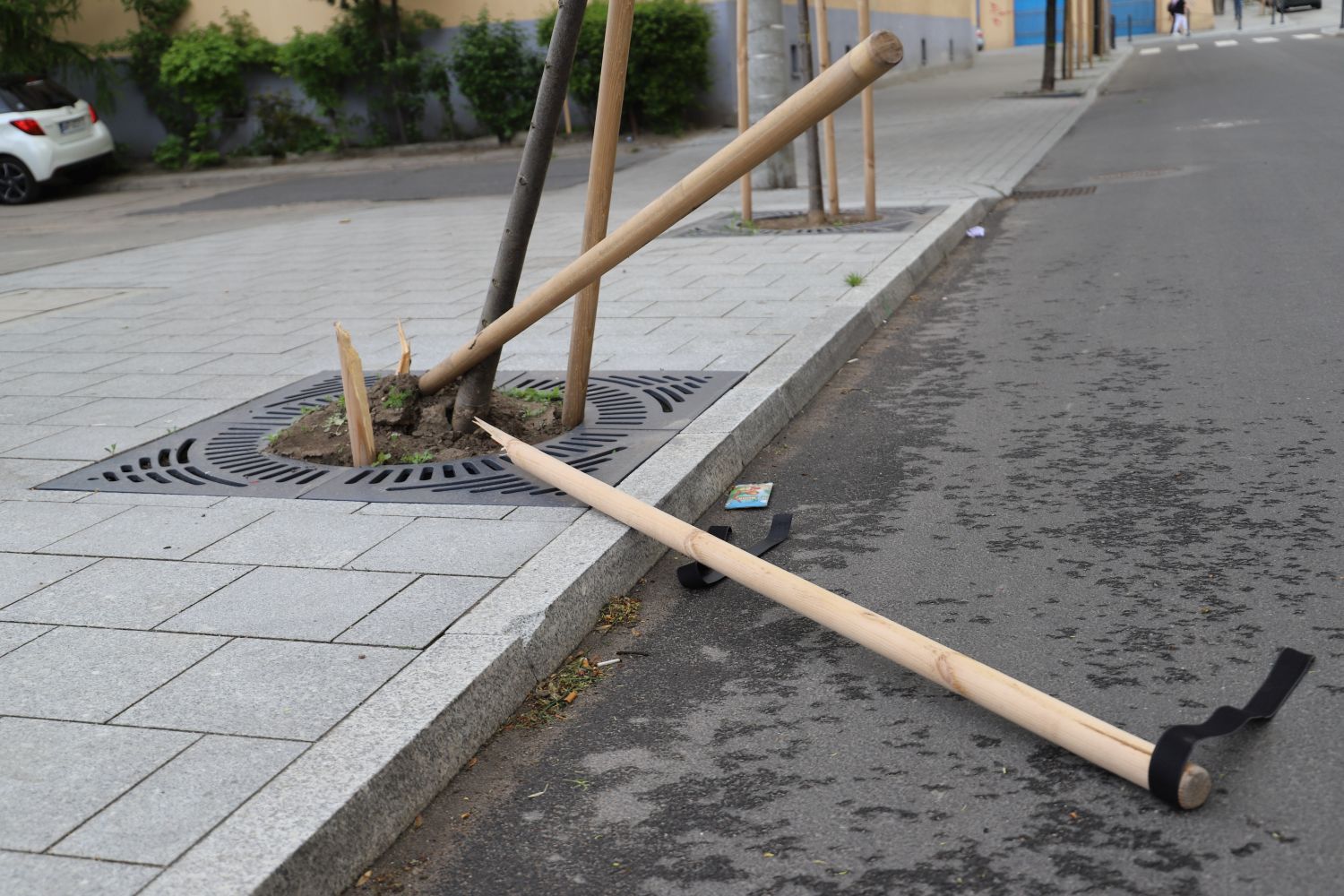 Weekend luzowania obostrzeń z wandalizmem w tle. Zniszczono zieleń w centrum Kutna