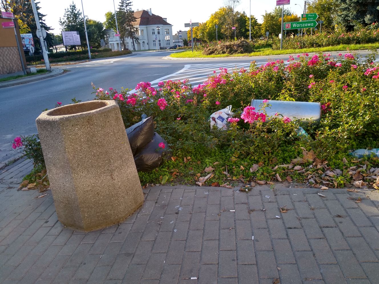 W weekend ktoś prawdopodobnie wracający z imprezy zdemolował kosz na śmieci w centrum Kutna i wrzucił go w róże