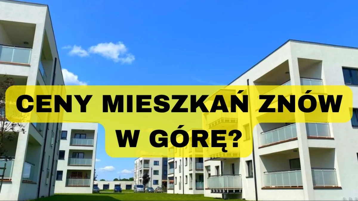 Jakie ceny mieszkań i najmu w Kutnie? Znamy prognozy na 2025 rok - Zdjęcie główne