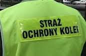 SOK-iści zatrzymali młodocianego uciekiniera - Zdjęcie główne