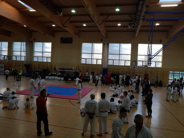 XIII Otwarte Mistrzostwa Karate Tsunami. Kutnianie wywalczyli medale - Zdjęcie główne