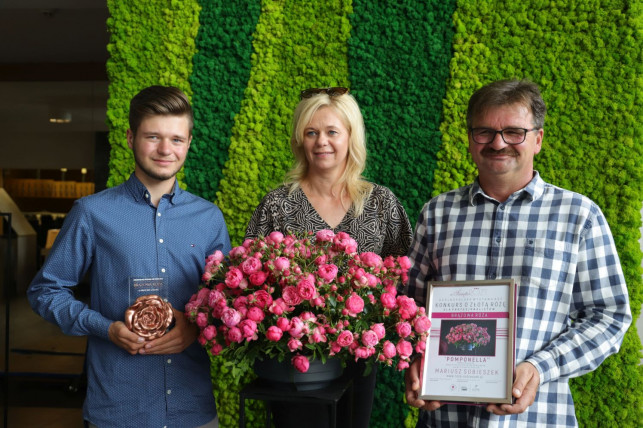 [FOTO] Ich róże są najpiękniejsze! Jury przyznało nagrody - Zdjęcie główne