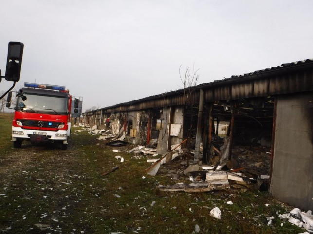 Ogromny pożar i podtrucie czadem - czterogodzinna akcja strażaków - Zdjęcie główne