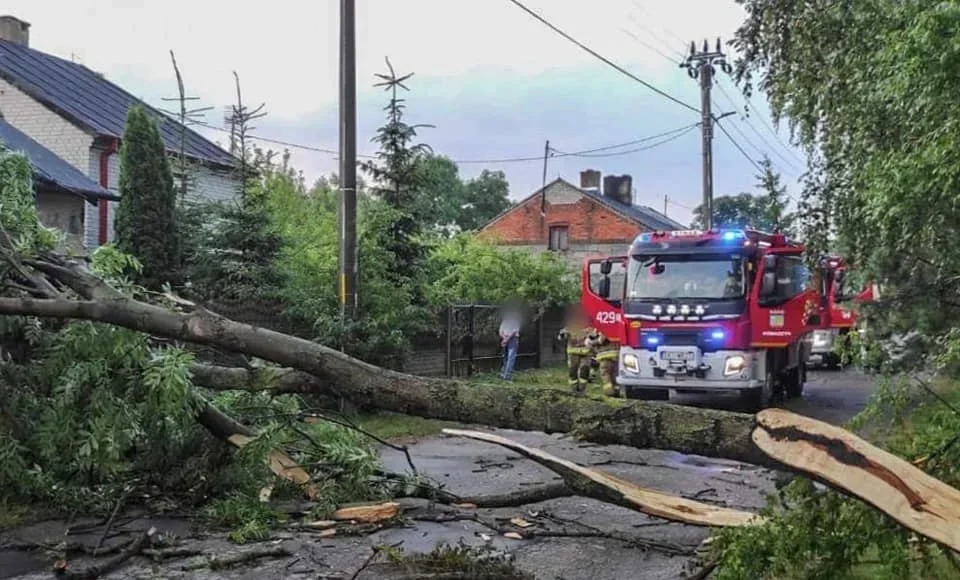 Przez region przeszła nawałnica, strażacy mają pełne ręce roboty. Jak sytuacja w powiecie kutnowskim? - Zdjęcie główne