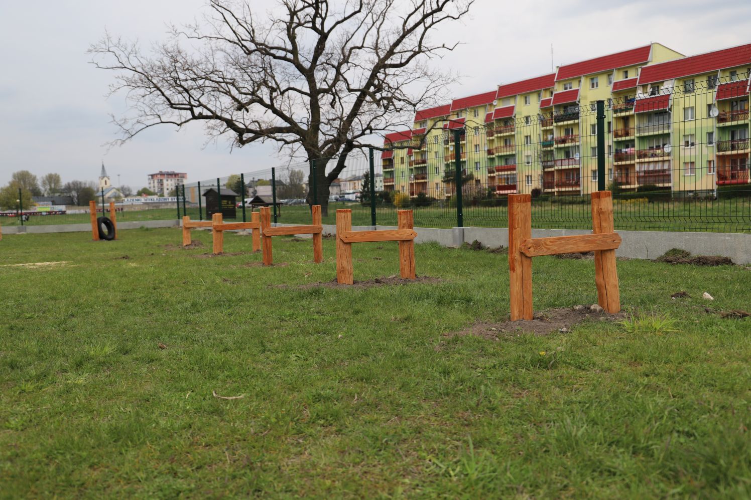 W kutnowskim parku pojawił się wybieg dla psów