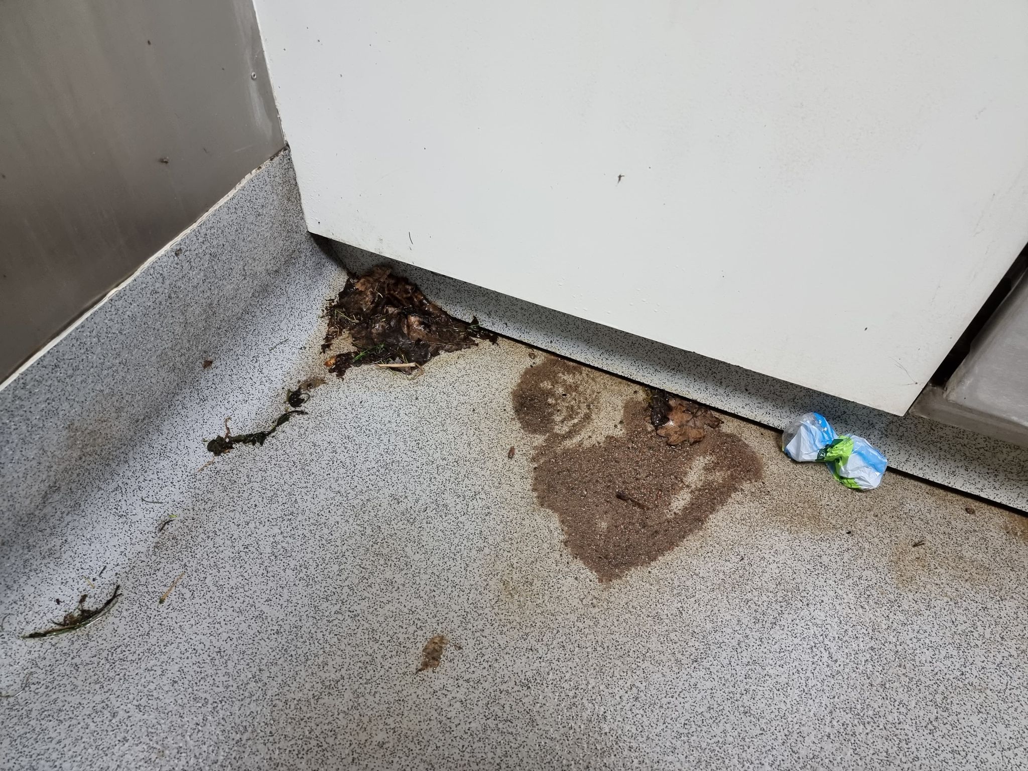 Stan toalety w Parku Wiosny Ludów daleki jest od ideału