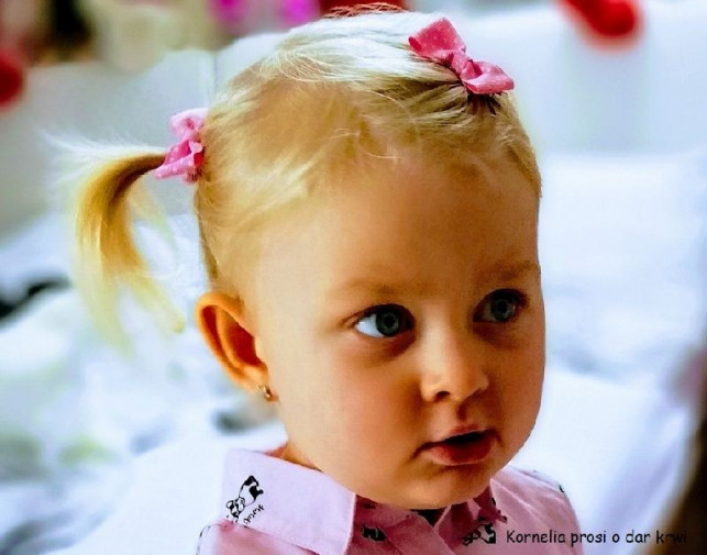 Mała Kornelka jest poważnie chora. Każdy może jej pomóc! - Zdjęcie główne