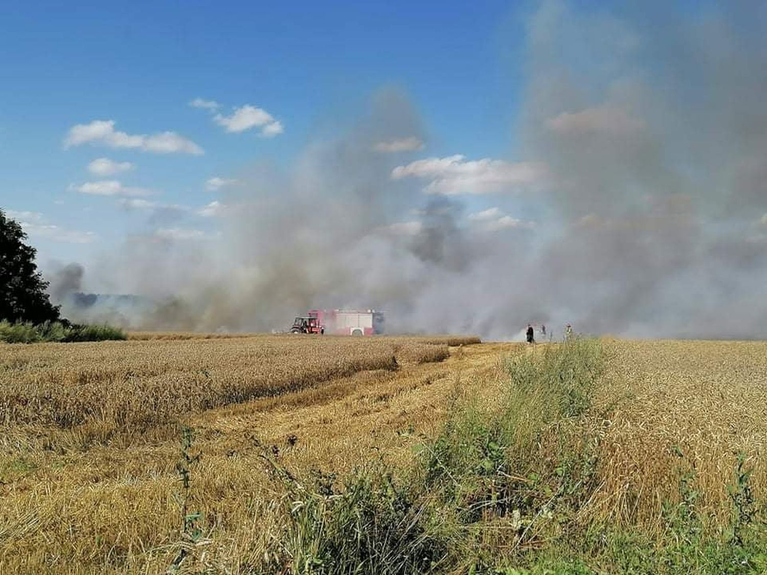 Duży pożar w okolicach Kutna. Na miejscu kilka zastępów straży pożarnej [ZDJĘCIA] - Zdjęcie główne