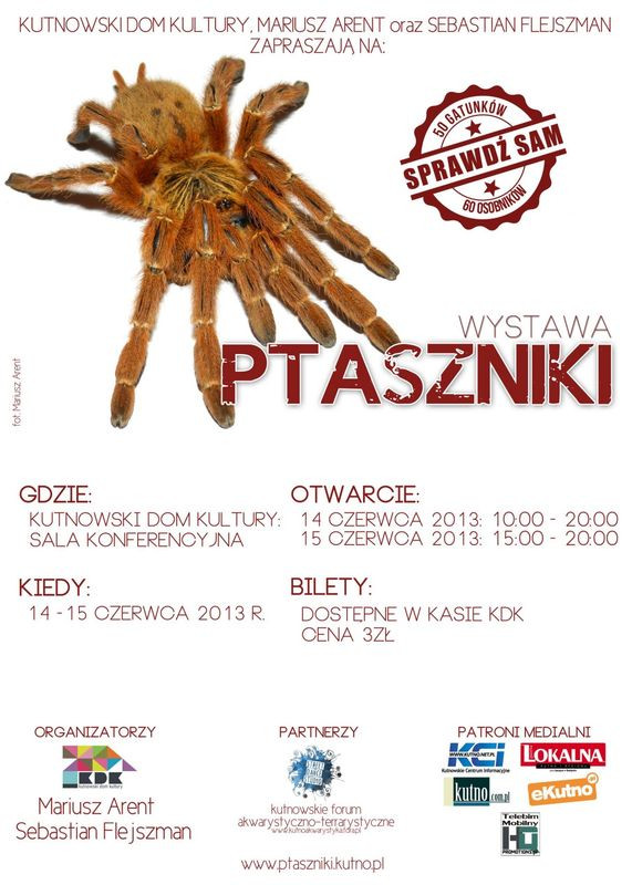 Pod naszym patronatem: Wystawa ptaszników - Zdjęcie główne