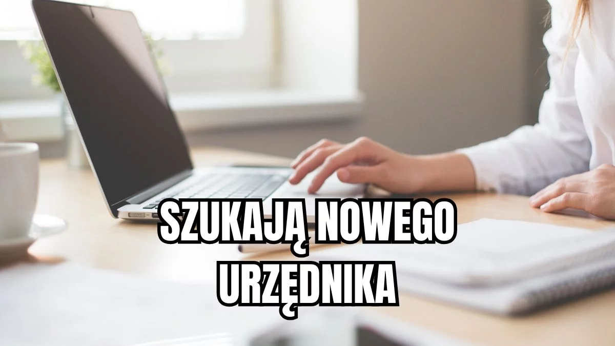 Urząd szuka pracownika biurowego. Wymagania nie są wygórowane - Zdjęcie główne