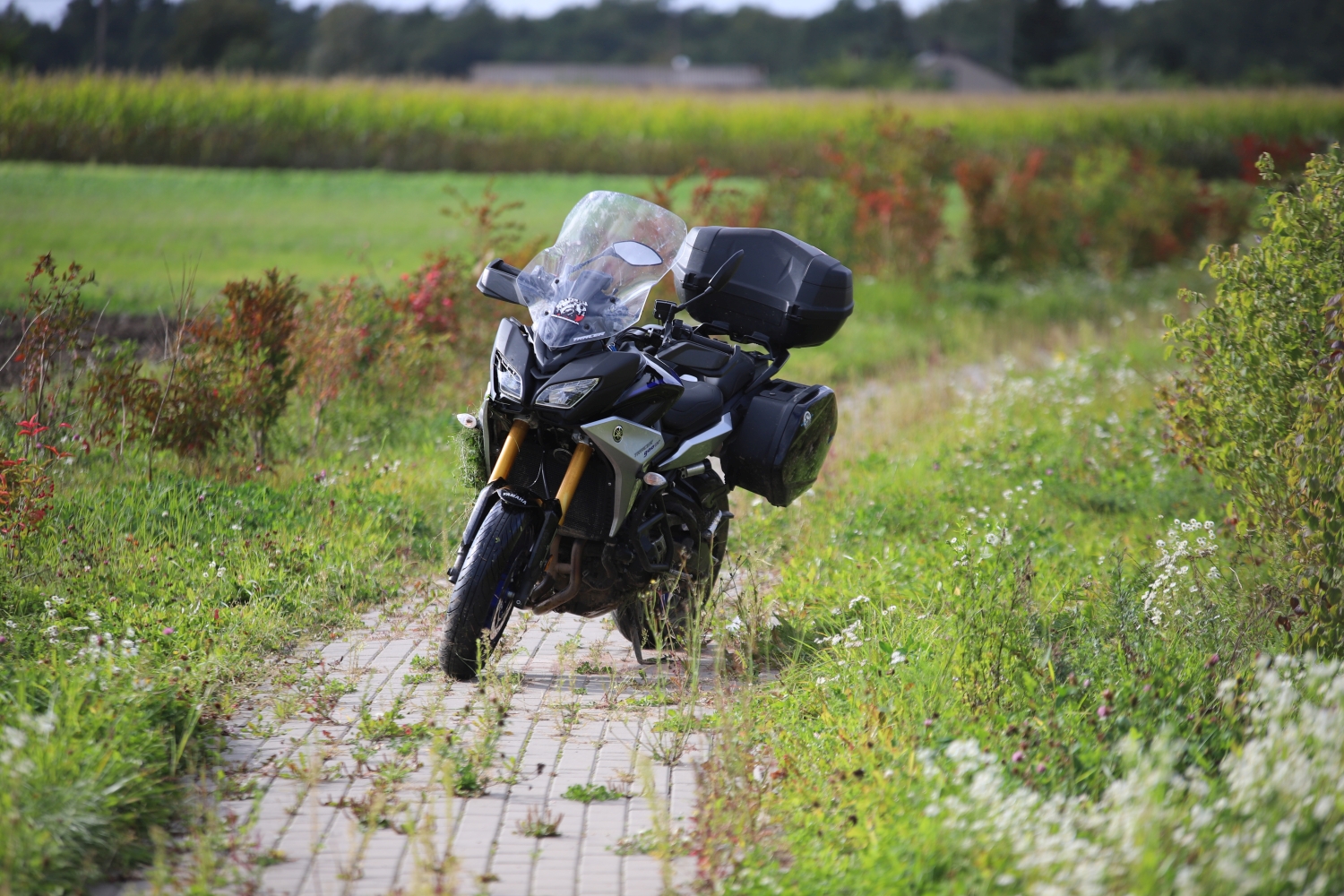 W Sójkach pod Kutnem doszło do wypadku z udziałem motocyklisty