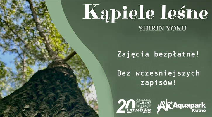 Kąpiele leśne MOSiR - Zdjęcie główne