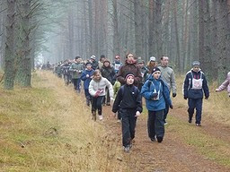 Rajd pieszy w rocznicę niepodległości - Zdjęcie główne