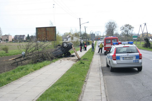 Wypadł z drogi, ściął drzewo i uciekł - Zdjęcie główne