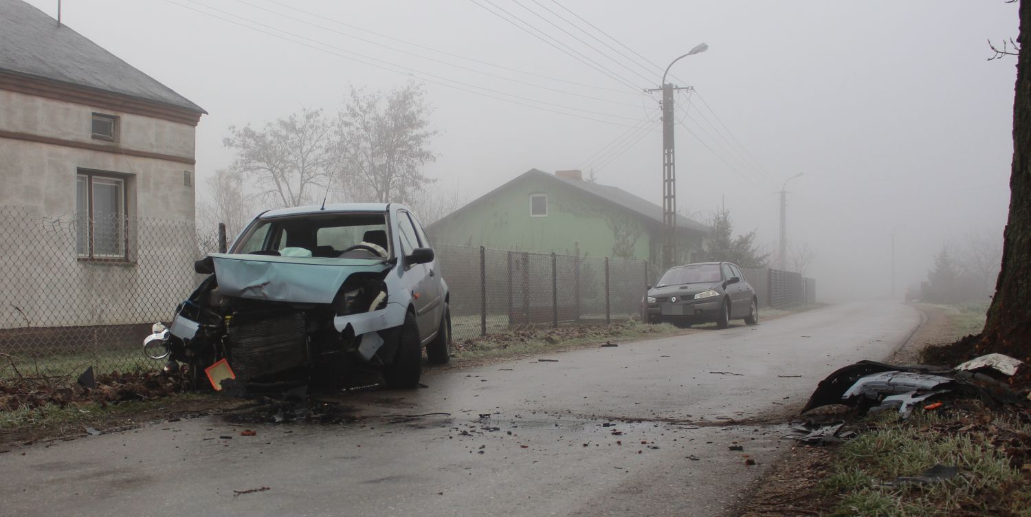 [FOTO] Samochód uderzył w drzewo, potem w ogrodzenie - Zdjęcie główne