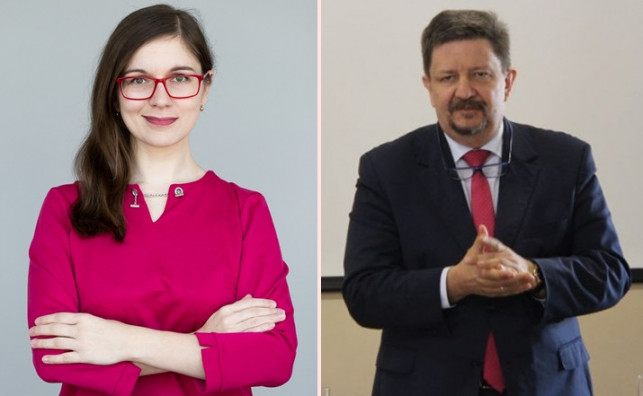 Czy nasz region otrzyma pomoc z Niemiec? Posłanka z Kutna pisze do marszałka  - Zdjęcie główne