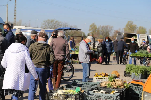 Kutnowscy radni podejmą ważną uchwałę w sprawie rolników. Chodzi o... - Zdjęcie główne