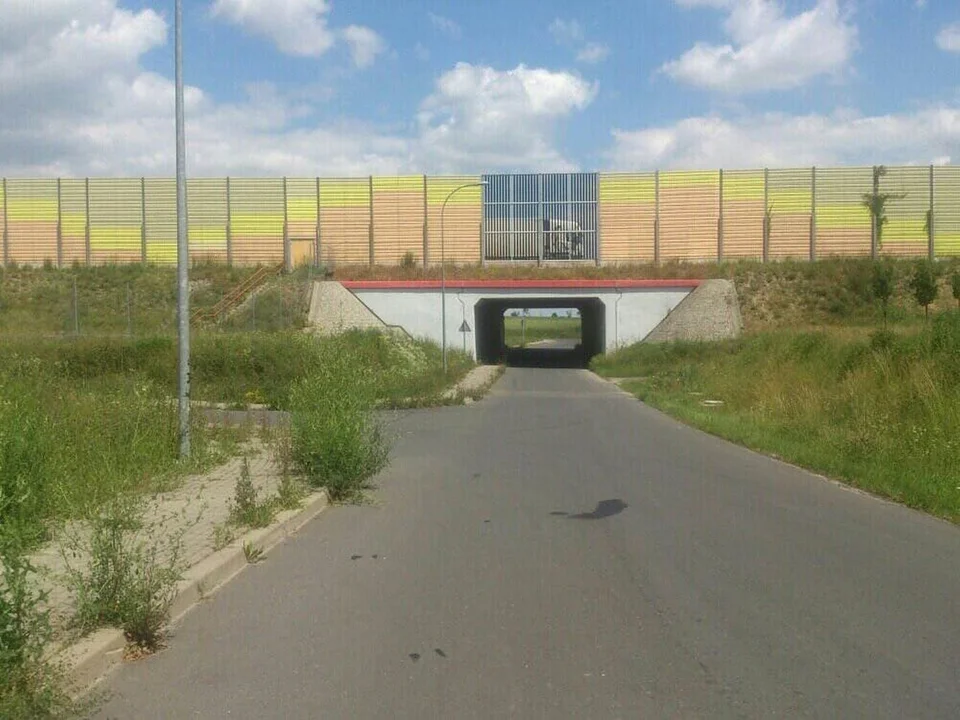 Pies utknął na sporej wysokości, znajdował się pełnym słońcu. Udało się go uratować m.in. przy pomocy Czterech Łap Żychlin i GDDKiA
