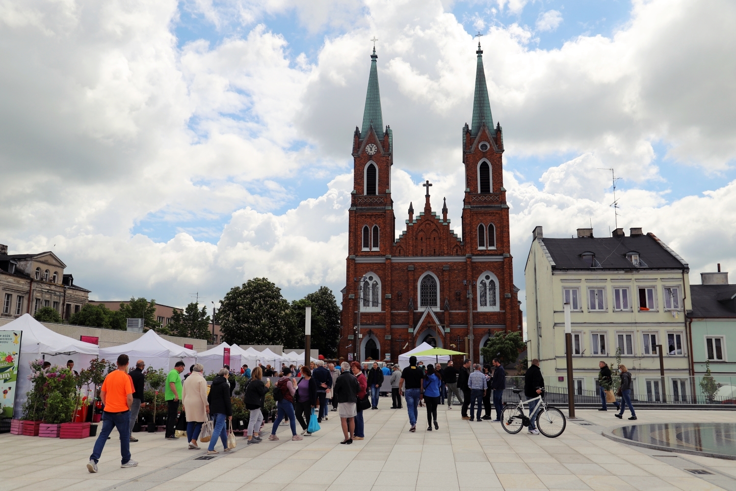 Kiermasz Różany na Placu Wolności potrwa do niedzieli do godz. 16:00