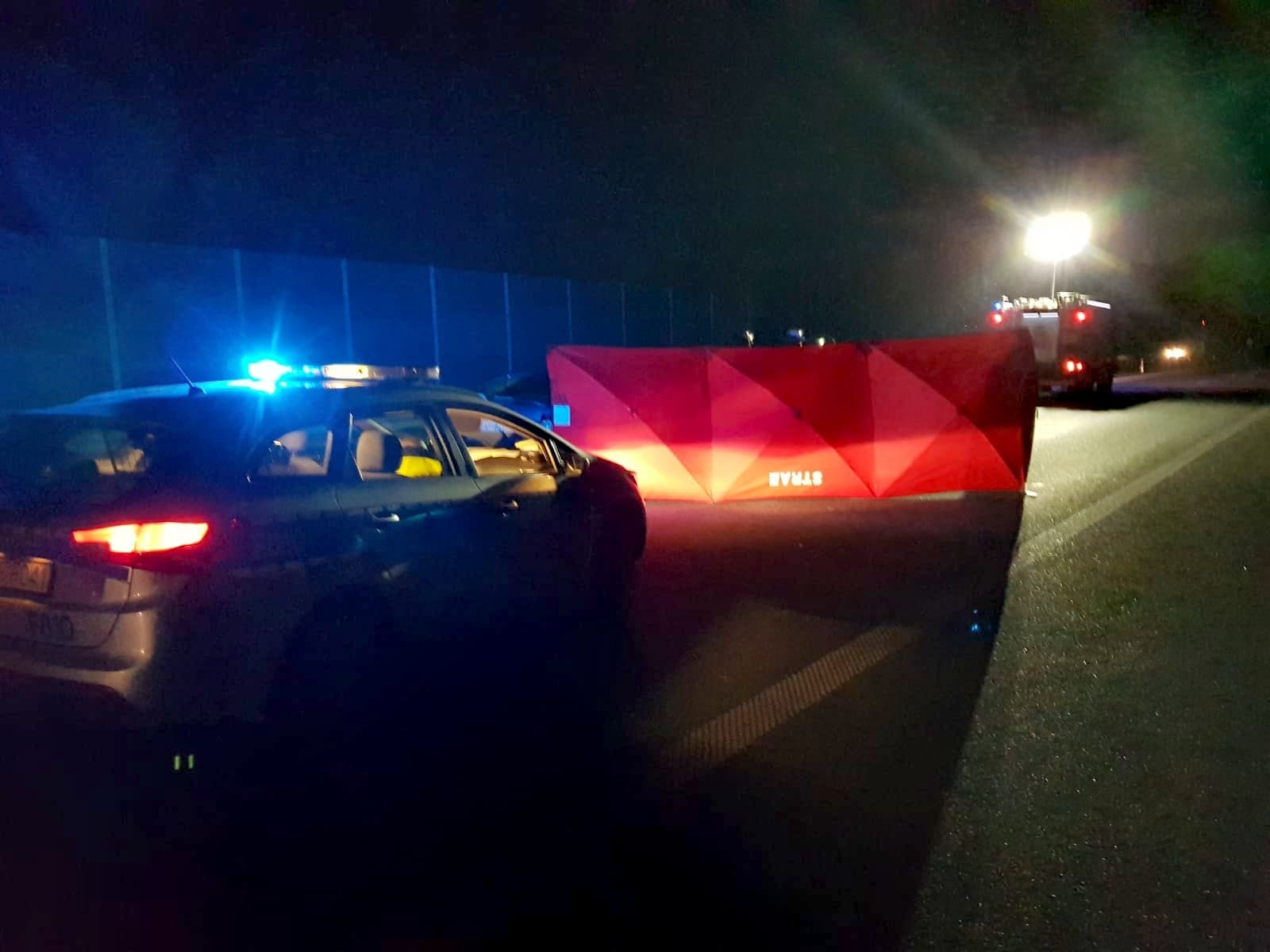 [FOTO] Samochód uderzył w łosia na autostradzie pod Kutnem. Nie żyje jedna osoba - Zdjęcie główne