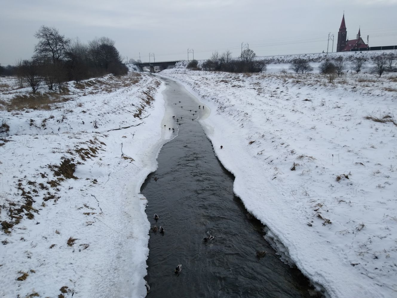 W Kutnie poziom rzeki wynosi 40-50 cm (zdjęcie wykonane 16.02.21)