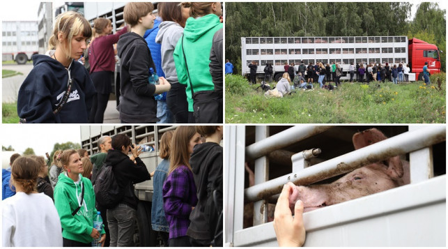 Weganie znów w Kutnie. Szykują akcję pod ubojnią - Zdjęcie główne