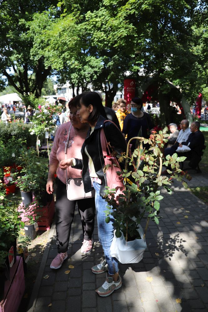 Święto Róży odbywa się również w Parku Traugutta, gdzie nie brakuje różnorodnych atrakcji