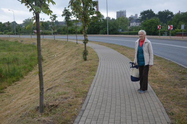 Niepokojący wygląd drzew na Barei - Zdjęcie główne