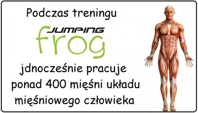 INNOWACYJNY I NAJSKUTECZNIEJSZY PROGRAM TRENINGOWY  JUMPING FROG (FITNESS NA TRAMPOLINACH)  OD MARCA W STUDIU TAŃCA ALIBI - Zdjęcie główne