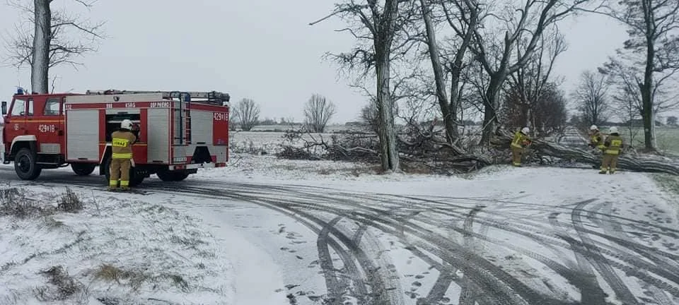 W wyniku załamania pogody w powiecie kutnowskim odnotowano wiele interwencji. Jedna z nich dotyczyła zawalonej stodoły