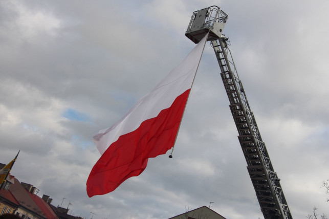 Konkursy, pokazy i kino plenerowe… Szykuje się wielkie wojskowe święto w powiecie kutnowskim - Zdjęcie główne