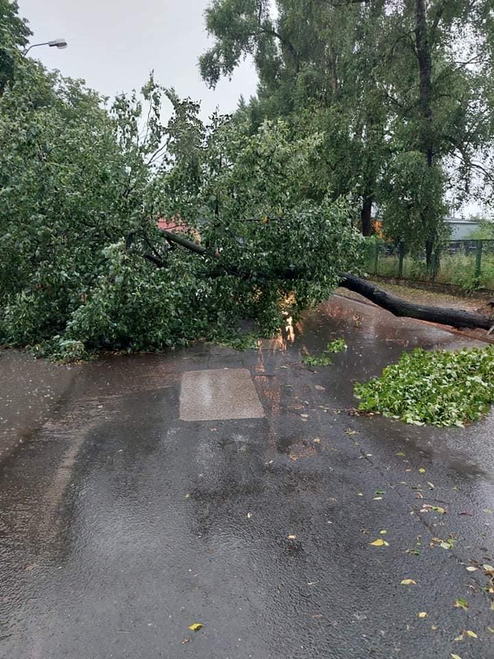 Przez powiat kutnowski przeszła kolejna nawałnica