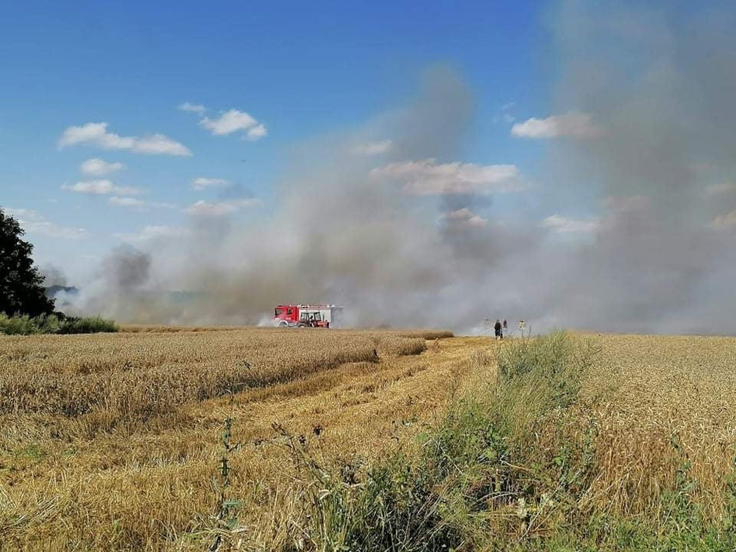 Duży pożar w okolicach Kutna. Na miejscu kilka zastępów straży pożarnej