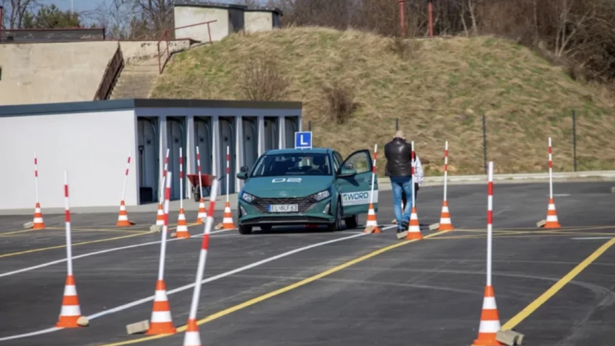 „L-ki” paraliżują Kutno? Mieszkańcy dyskutują o autach nauki jazdy, a jedna rzecz mocno zaskakuje